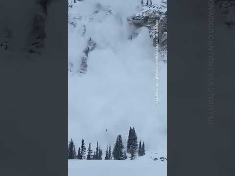 Look at this incredible avalanche in Utah #shorts #caughtoncamera