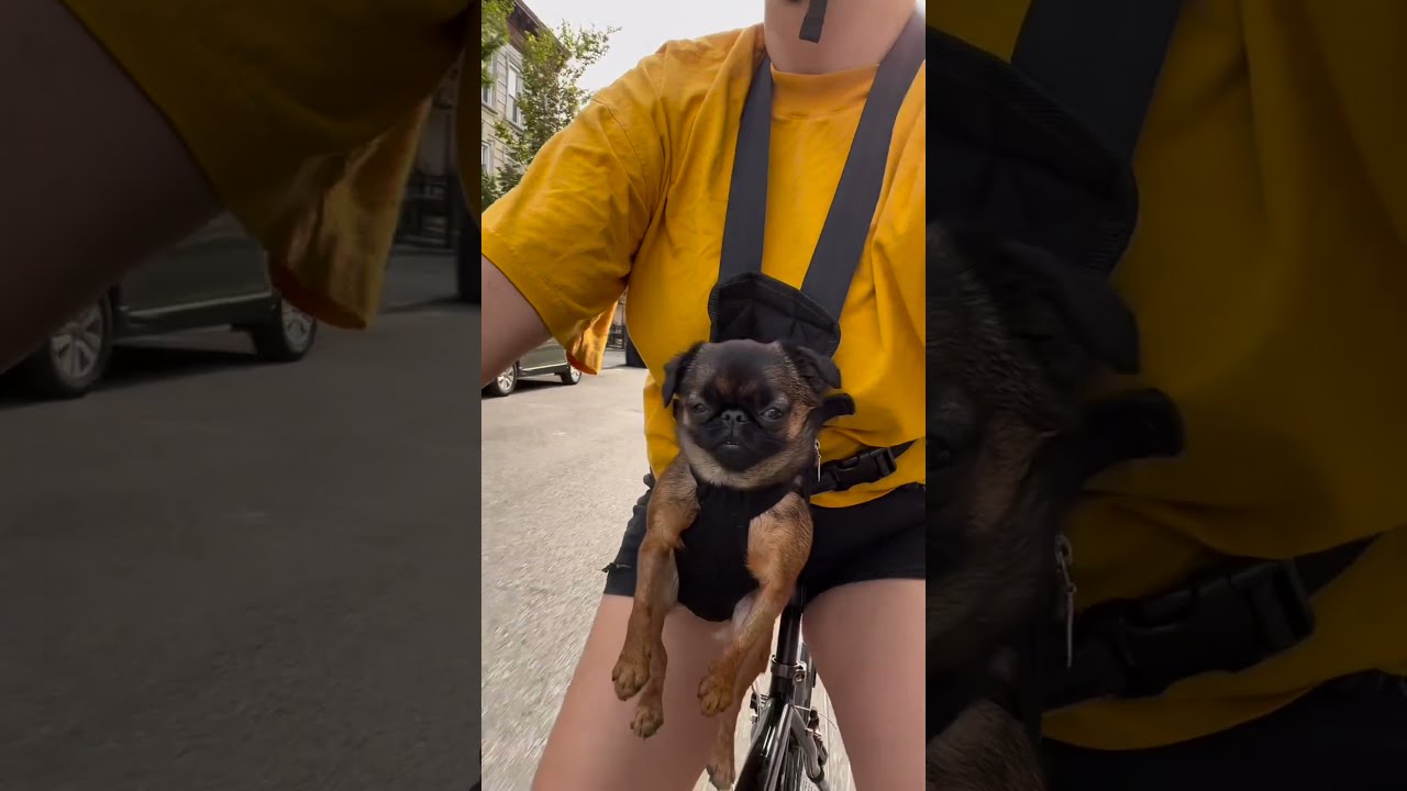 Girl Biking With Her Dog Onboard