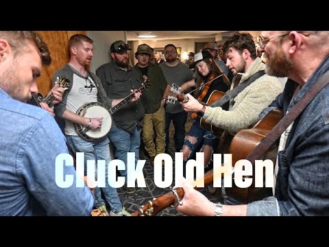 Cluck Old Hen