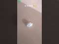 i threw it😭 #yosho #funny #memes #loud #phone