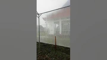Thumbnail of Pembuatan Green House untuk Badan Usaha Milik Desa
