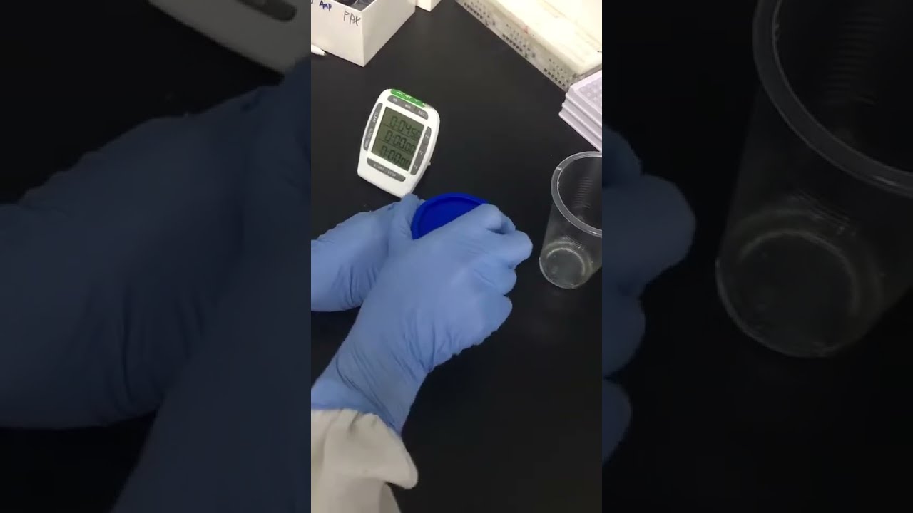 How To Use The 10 Panel Urine Drug Test Cup