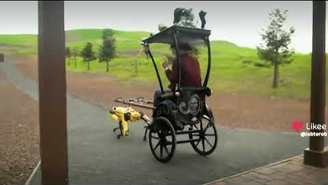 #Job to #Robot: Boston Dynamics: Mythbuster Adam Savage