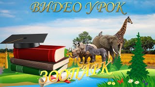 Зоопарк (видео урок для детей 2-5 лет)