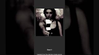 012091 - Steel II