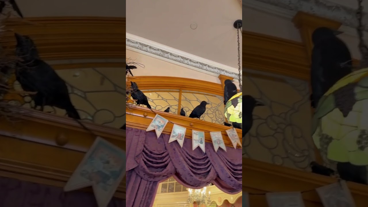 The Crows are Back at #Disneyland’s Fortuosity!
