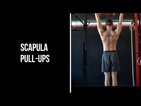 Scapula Pull-ups