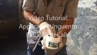 Tutorial: Applicare l'Unguento Black Blister alle Corone del Cavallo(La formulazione del Black Blister riprende le vecchie formulazioni delle pomate di iodio di una volta che erano tutte con base in sugna, componente ..., 2016-08-10T16:18:50.000Z)