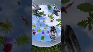 Reflective Water Play