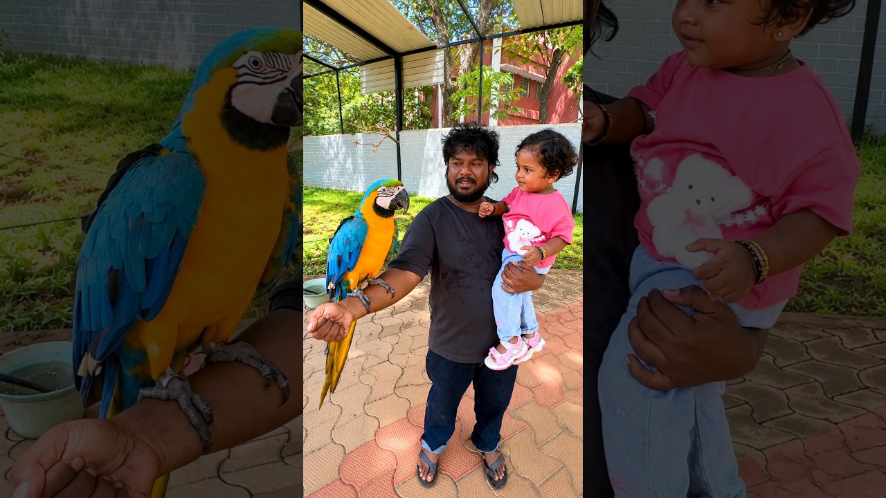 💥🤯150ரூவாய்க்கு இது செம ..⁉️💢 #shorts
