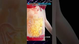 Menjaga Metabolisme Tubuh Dengan Baik Membantu Membakar Lemak Di Tubuh
