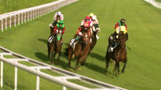 Vidéo de la course PMU PRIX DE LA TOUSSAINT