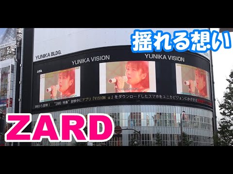 ZARD　揺れる想い　坂井泉水　ZARD “What a beautiful memory 2007”　ザード 30周年記念　zard 坂井泉水　YUNIKA VISION zard in Tokyo