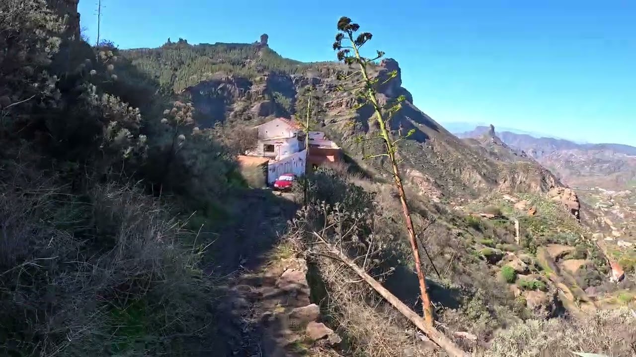 Senderismo por el bosque de Gran canaria | ASMR Naturaleza sin hablar 4k