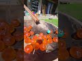 Marble Run☆Memechan Special②
