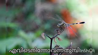 കവിത: (83) എവിടെ നിന്നോ വന്ന തുമ്പി കവി :  ഒ.എൻ.വി.കുറുപ്പ്  :ആലാപനം : G.REMANI AMMAL