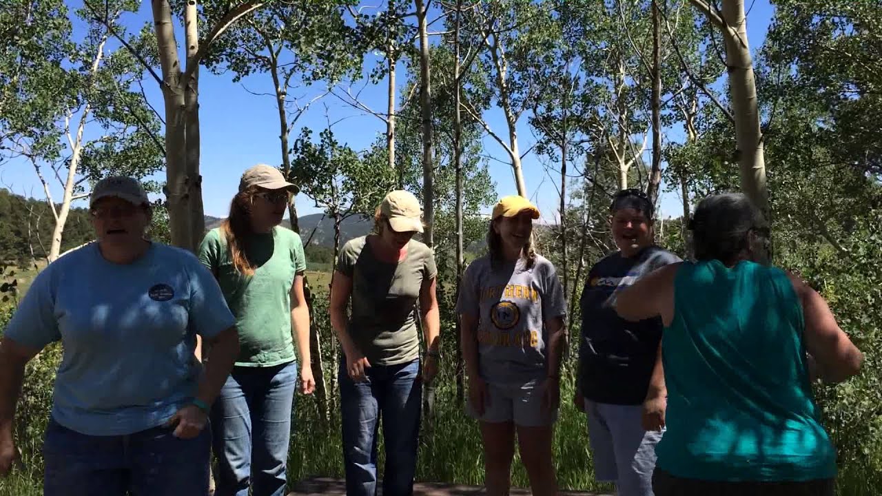 Camp Songs - I Met a Bear