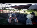 Atonement entertainment bull riding footage thousand foot krutch  this is a warningcourtesy call