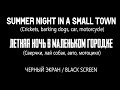 SUMMER NIGHT IN A SMALL TOWN_sound for sleep_surround (Crickets, barking dogs, car, motorcycle)