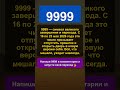 Почему 9999 изменит твою неделю с 16 мая #нумерология #9999 #числасудьбы