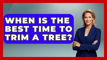 When Is The Best Time To Trim A Tree? - The Plant Enthusiast