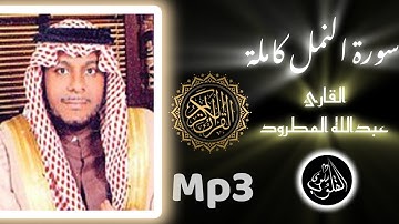 سورة النمل كاملة تلاوة رائعة بصوت رائع للقارئ الشيخ عبدالله المطرود 🫀 حفظه الله #سلوى_القلوب
