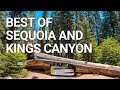 Top Things You NEED To Do In Sequoia & Kings Canyon National Park