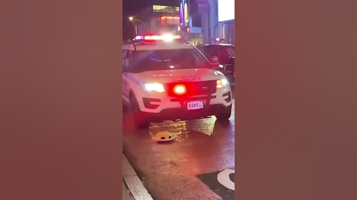 🐢💥 Turtle vs Police 👮🏾 #ThatMajeEngasado #MiniVideitosEngasados ​​#LaCarpetaDeLosVergazos