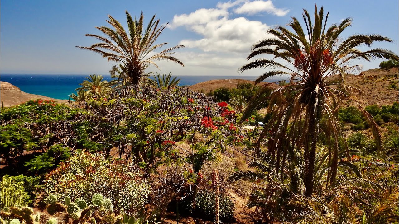 Oasis Wildlife Park Fuerteventura 2022