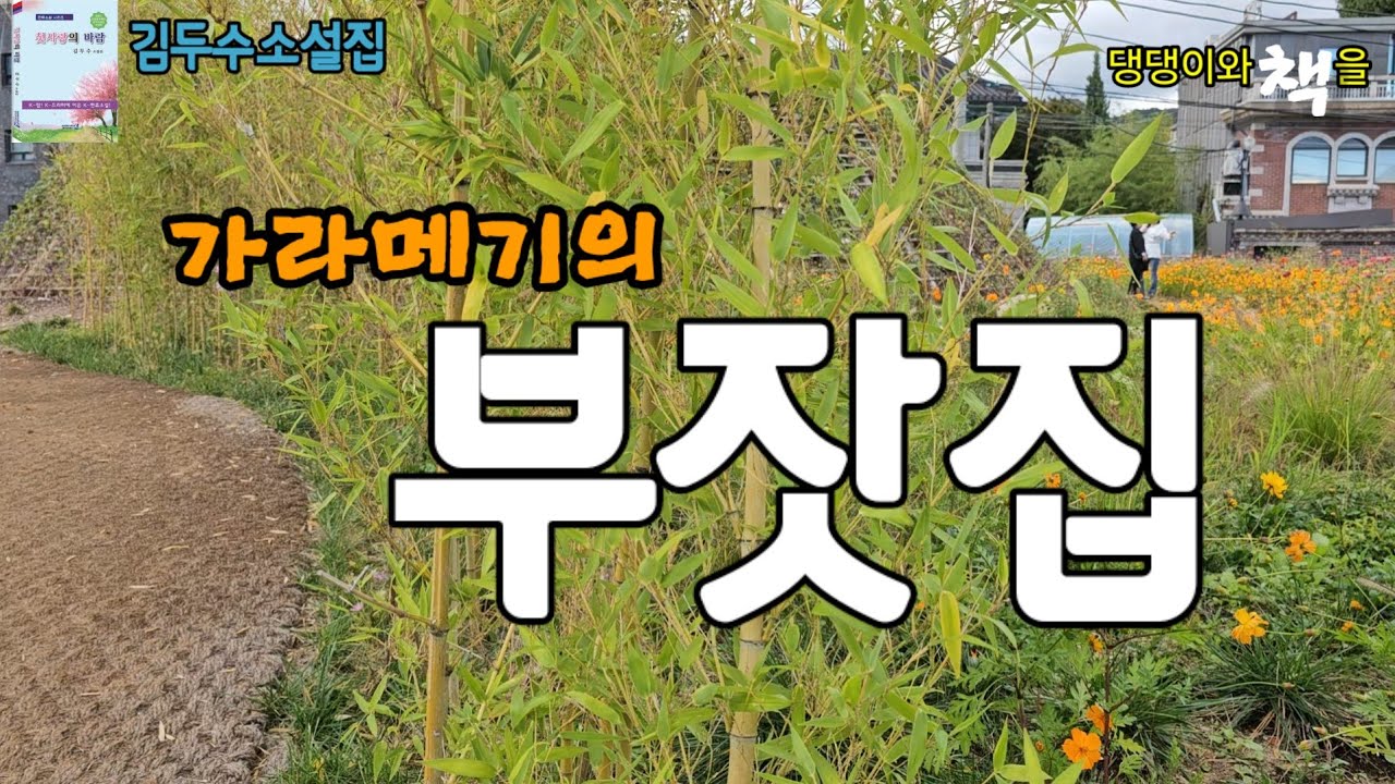 김두수/남편은 일생동안 객식구처럼 밖으로만 돌더니 차츰 건강이 나빠졌다/책읽어주는작가