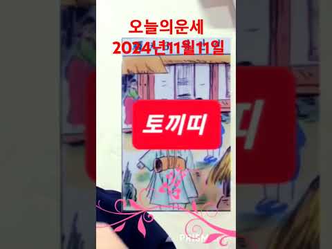 토끼띠 오늘의운세 2024년11월11일 월요일 띠별운세 #운세 #오늘의운세 #띠별운세