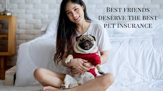 Free Pet Insurance Quote for Dogs and Cats