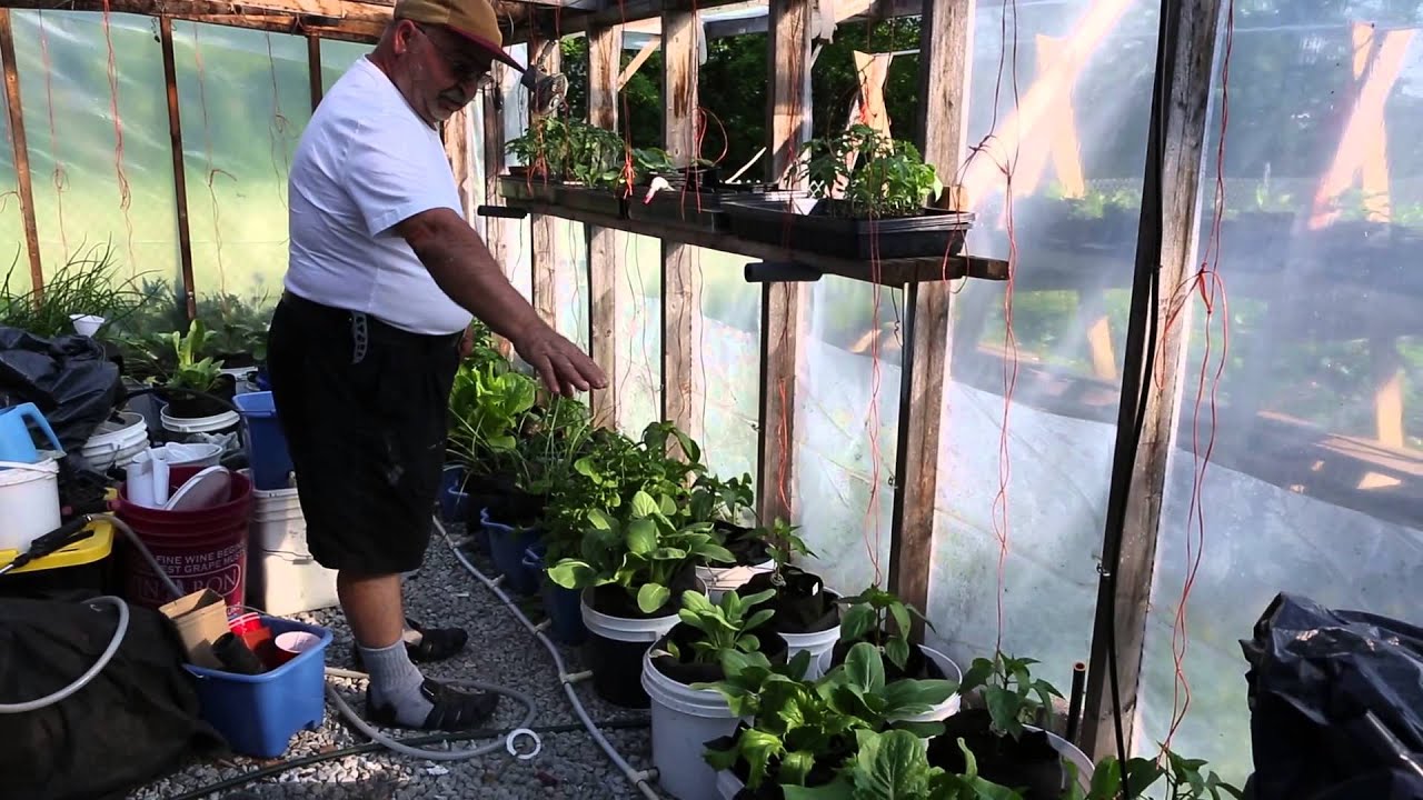 Auto watering system pot plants YouTube