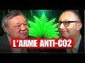 Cette plante peut arrter le rchauffement climatique   philippe nguyen