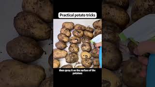 8 Potato Hacks That Will Change Your Life! (Stop Throwing Peels!) 🤯   #shorts