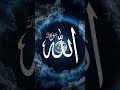 #alllahﷻ #mohammad #allahhuakbar