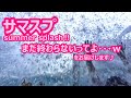 『鴨川シーワールド』2023夏 KamogawaSEAWORLD♪サマースプラッシュ（2023/08/31) 15：00～（最終日 ３回目（最終回）のはずだった・・・ｗ）