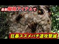 まっちゃんにプライドはないのか…ついに解禁！？秒で終わらすスズメバチ駆除とは？