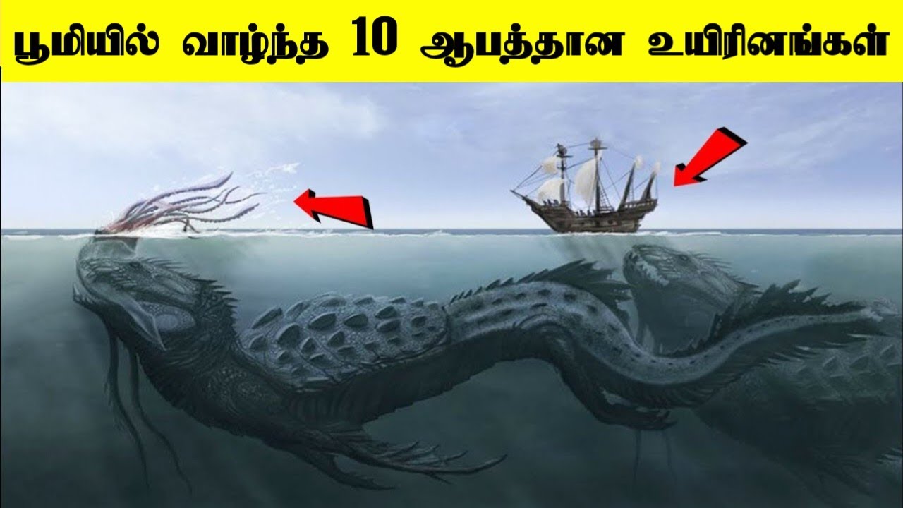 பூமியில் வாழ்ந்து அழிந்து போன ராட்சத மிருகங்கள் | Top 10 Mythical Creatures| @ThinkBetter96 