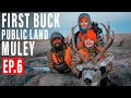 PAILEY'S FIRST BUCK DOWN! | RUTTING BUCKS | 4K PUBLIC LAND