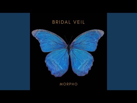 Obejrzyj Morpho w YouTube Obejrzyj Morpho w YouTube