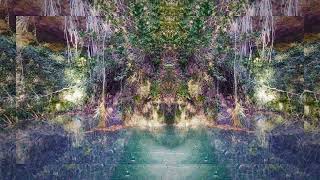 LSD Trip