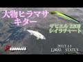 ヒラマサ釣りキャスティングゲーム 長崎 STATUS  Part 2 Kingfish ”Yellowtail amberjack” Fishing Casting Game