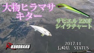 ヒラマサ釣りキャスティングゲーム 長崎 STATUS  Part 2 Kingfish ”Yellowtail amberjack” Fishing Casting Game