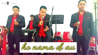 #nirwanatrio  ' Wedding party (Pesta Adat) || Ho Nama Di Au ' Live Cover