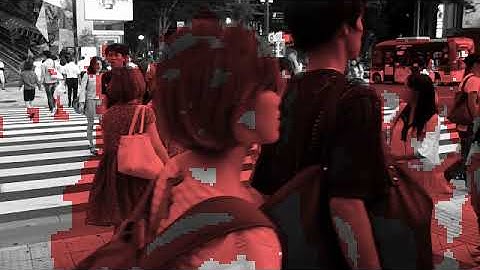 Optical Flow Histogram