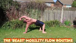 Flow mobility routine
