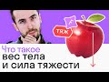 МАССА и ВЕС тела: в чем отличие? Как найти СИЛУ ТЯЖЕСТИ