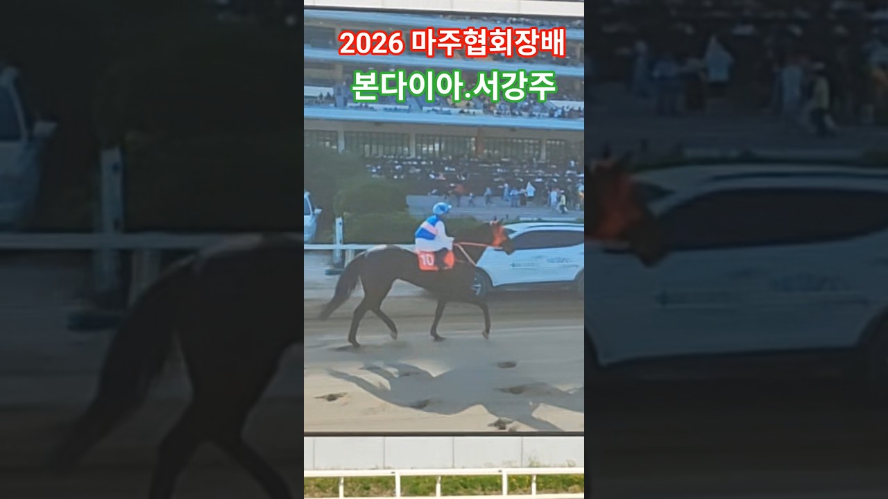 진카 였구만?#경마 #말 # 달려라말 #shorts #대상경주