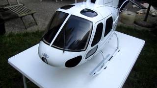 trex 600 in Ecureuil fuselage